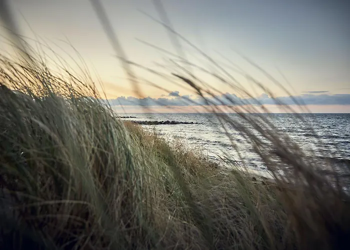 Casa vacanze Gold Iv *